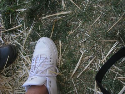IMG_1294.JPG