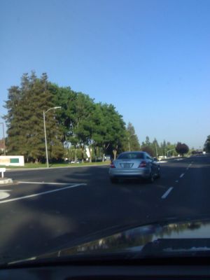 Picture_031.jpg
