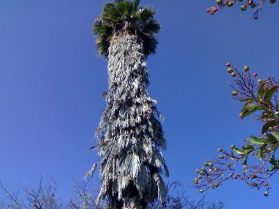 Picture_087.jpg