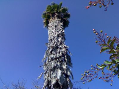 Picture_088.jpg