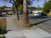 Picture_086.jpg