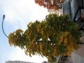 IMG_1283.JPG