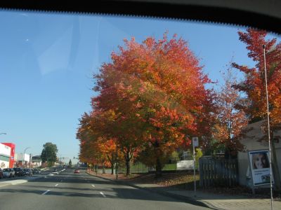 IMG_1701.JPG
