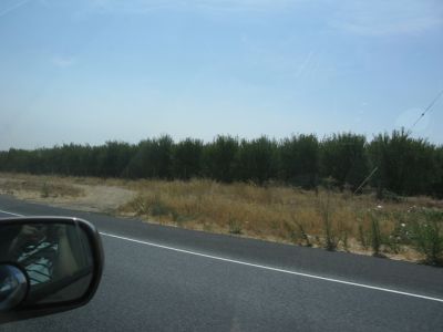 IMG_2444.JPG