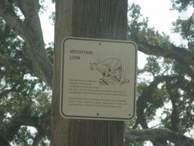 IMG_2447.JPG