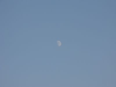 IMG_2543.JPG