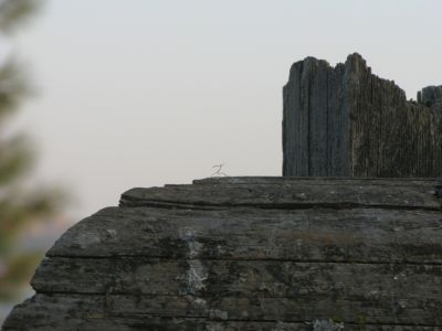 IMG_2544.JPG