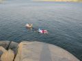 IMG_2476.JPG