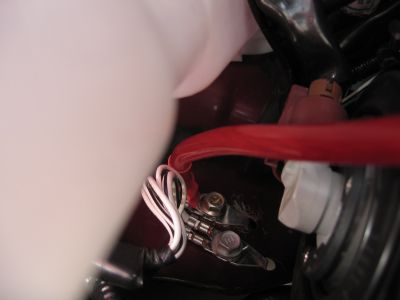 IMG_0035_resize.JPG