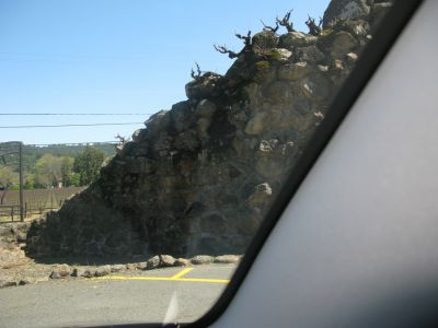IMG_0687.JPG