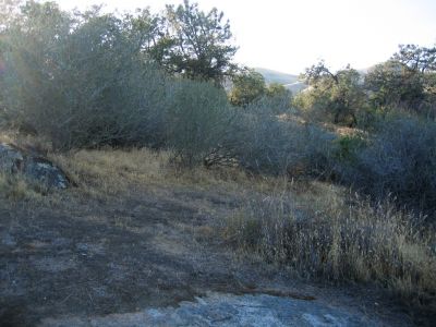 IMG_0121.JPG
