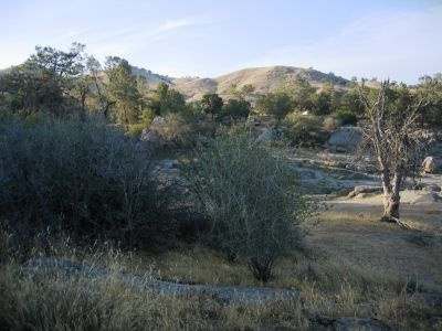 IMG_0122.JPG