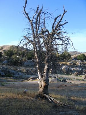 IMG_0124.JPG