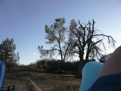 IMG_0135.JPG