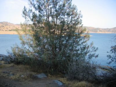 IMG_0143.JPG