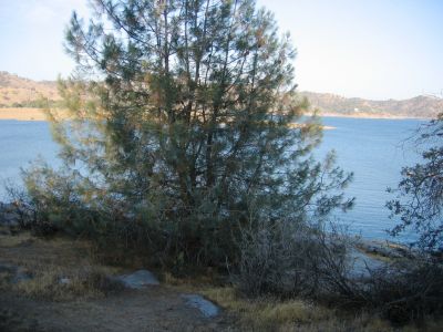 IMG_0144.JPG