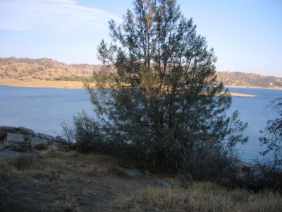 IMG_0147.JPG