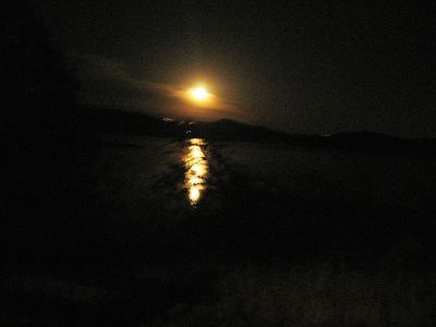 IMG_0194.JPG