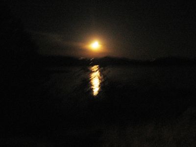 IMG_0200.JPG