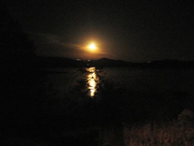 IMG_0201.JPG