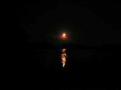 IMG_0302.JPG