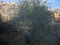 IMG_0106.JPG