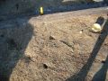 IMG_0117.JPG