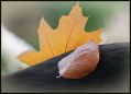 091005_18.jpg