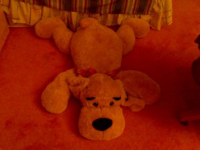 02092007017.jpg