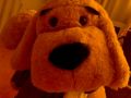 02092007016.jpg