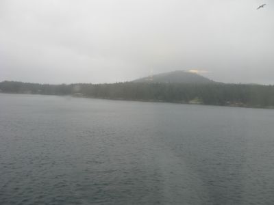 IMG_2205.JPG