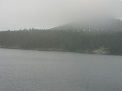 IMG_2206.JPG