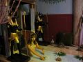 IMG_2255.JPG