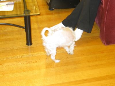 IMG_2372.JPG