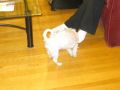 IMG_2372.JPG