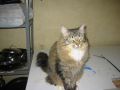 Picture_067.jpg