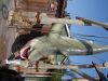 DSC01596.JPG