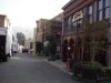 DSC01608.JPG