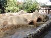 DSC01650.JPG