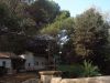 DSC01651.JPG