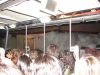 DSC01673.JPG