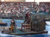 DSC01767.JPG