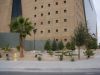 DSC01816.JPG