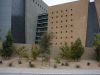DSC01817.JPG