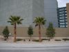 DSC01818.JPG