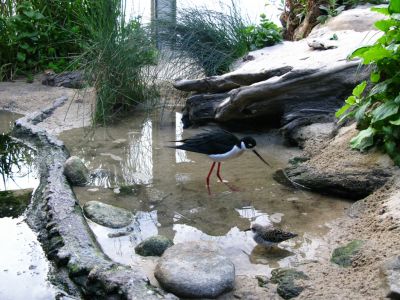 IMG_1065.JPG