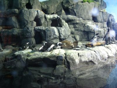 IMG_1072.JPG