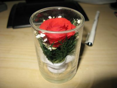 IMG_1543.JPG