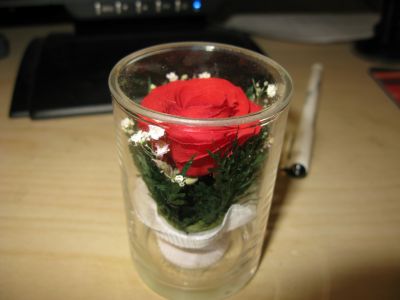 IMG_1546.JPG