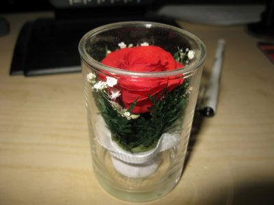 IMG_1548.JPG